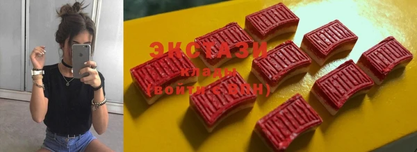 стаф Зерноград