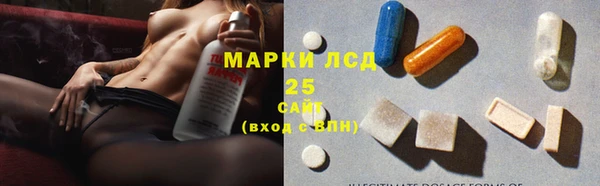 стаф Зерноград