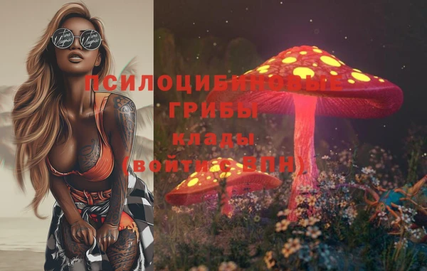 эйфоретик Зеленодольск