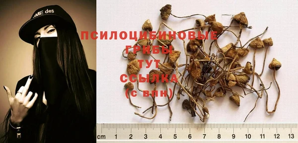 Альфа ПВП Зеленокумск