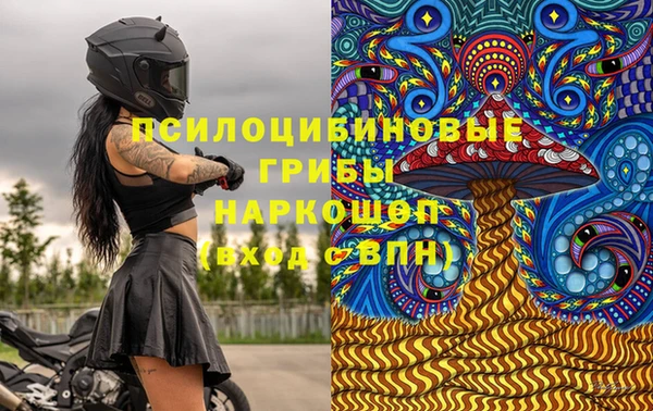 стаф Зерноград