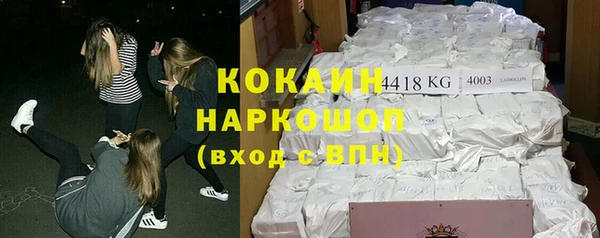 стаф Зерноград